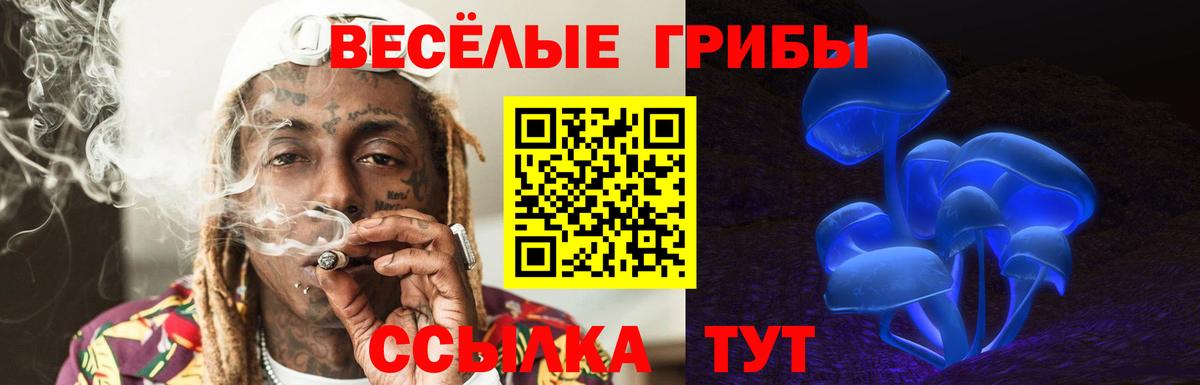 Сосновоборск  Галлюциногенные грибы ЛСД  Вход с VPN 