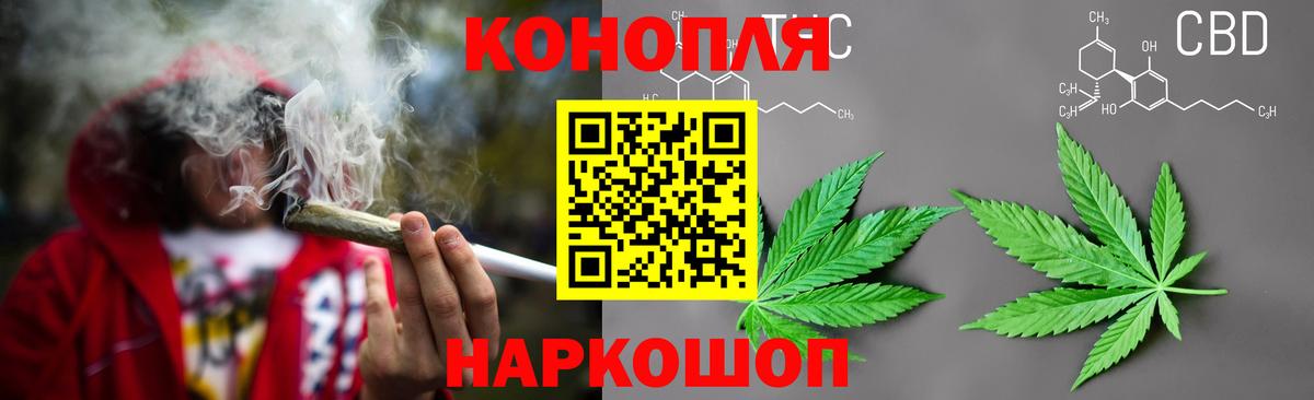 Канабис сатива Сосновоборск